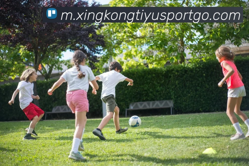 星空体育APP 高清赛事图